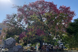 Czytaj więcej: 20251002 152715 425c8