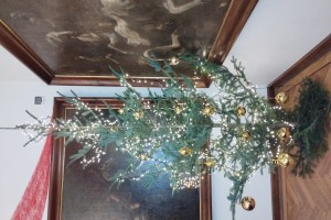 Czytaj więcej: img 20241212 174022509 f8ff0